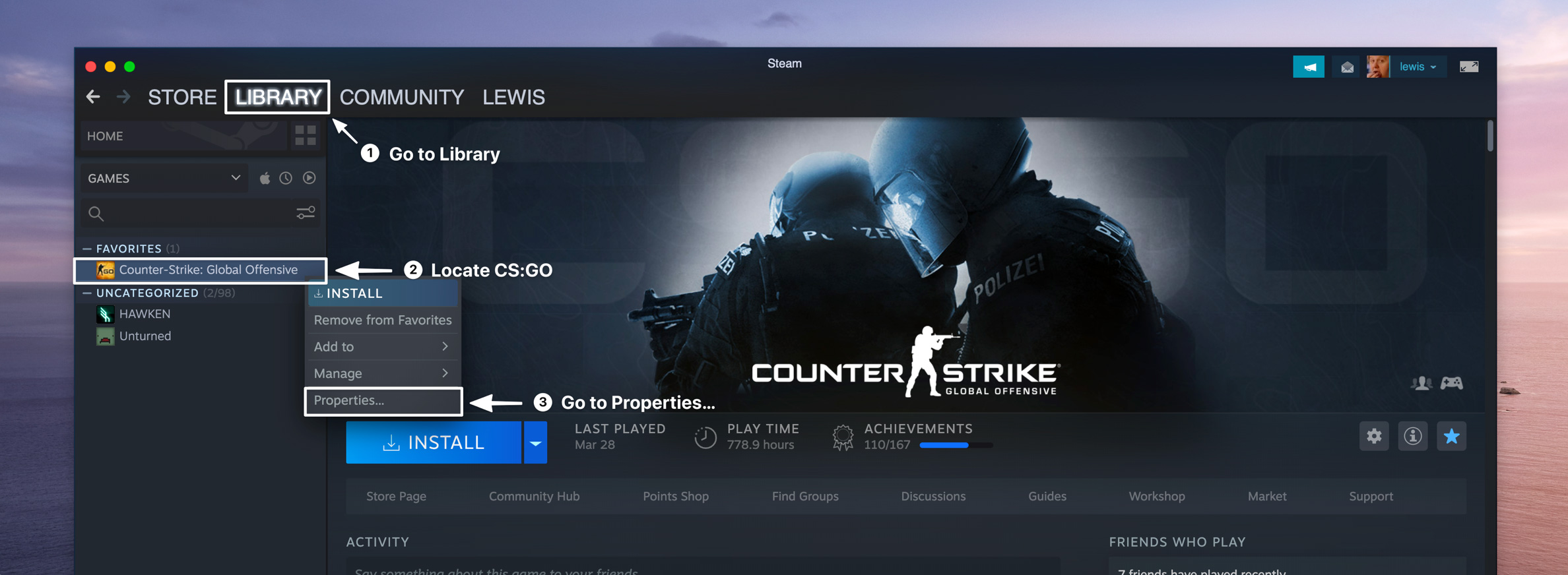 Setting launch options in CS2 via Steam game properties