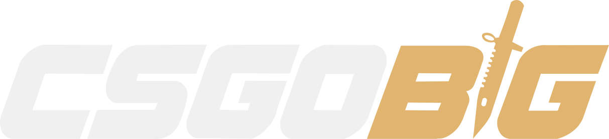 CSGOBig Review & Bonus Codes in 2026